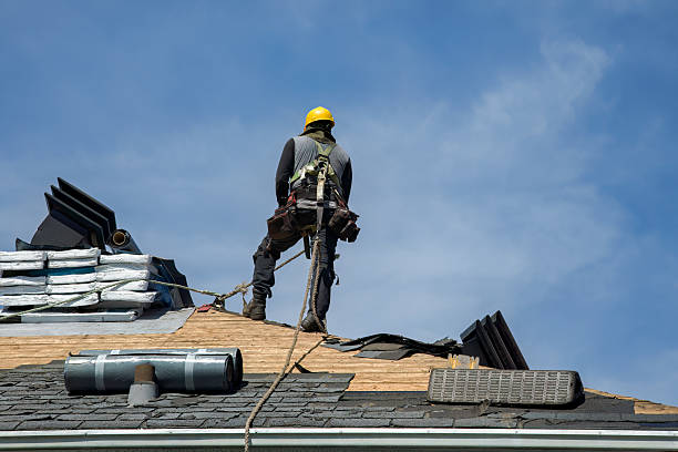 Professional Gutter Installation technician working in Brunswick, GA